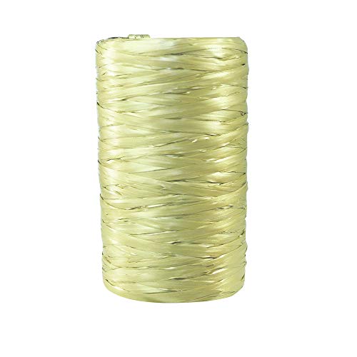 Pelote Raphia Synthetique 13mmx100m Vert Menthe