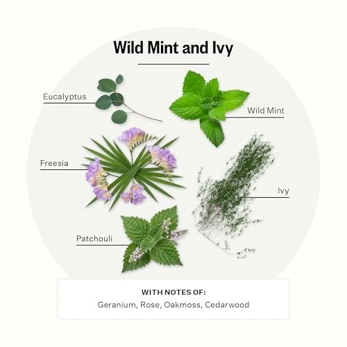 Image of Apotheke Signature Scented Candles for Home, Wild Mint & Ivy - 10.5 oz - Soy Wax, Non Toxic, Large Jar White - Luxury Candle Gifts for Women & Men - Eucalyptus, Patchouli, Cedarwood, and Rose