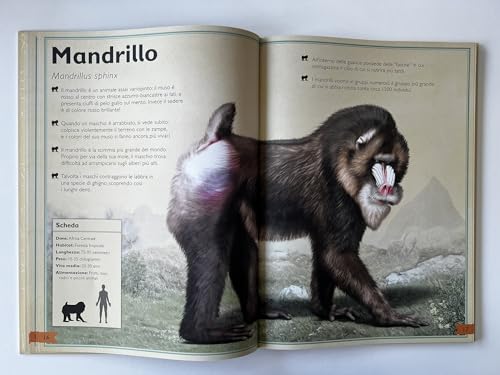 Il Magnifico Libro Degli Animali. Ediz. A Colori - 4