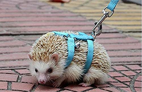 Image of Adjustable Hedgehog Harness for Training Playing Traction Rope Small Animal Pet Outdoor Play (Blue, Fit Small pet)