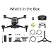 DJI FPV Combo (Goggles V2), First-Person View Drone with 4K Camera, S Flight Mode, Super-Wide 150° FOV, HD Low-Latency Transmission, FAA Remote ID Compliant
