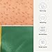 South African Flag Flying Birds Washable Anti-Slip Dog Bed for Small Medium Dogs, Warm Dog mats for Dogs Soft Pet Portable Pad, Comfy Dog Kennel Pad.