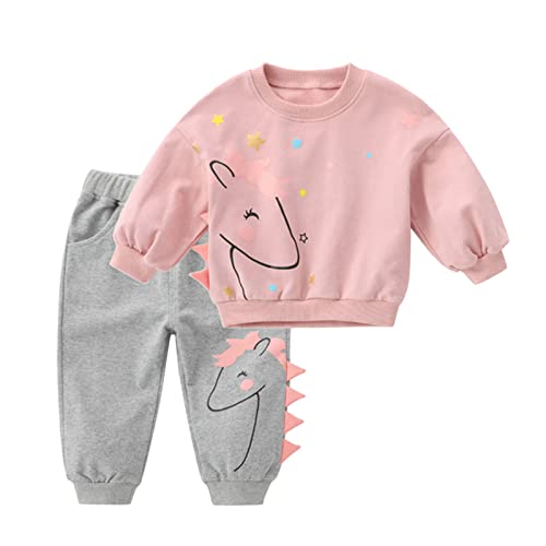 OBiQuzz Conjunto de ropa infantil para niñas, sudadera de manga larga y pantalón de jogging, 2 piezas, conjunto de entrenamiento festivo para niños, Rosa., 2-3 años