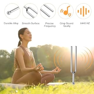 Diapason Pour Piano,Diapason Accordeur,Diapason en Acier Inoxydable A440 Hz,Accordeur de Guitare,A 440Hz Diapason en Acier Inoxydable,pour Instrument Musical Standard pour Accordeur de Guitare Violon - Les Beatles, Paul McCartney, John Lennon, RIngo Starr, George Harrison Diapason Pour Piano,Diapason Accordeur,Diapason en Acier Inoxydable A440 Hz,Accordeur de Guitare,A 440Hz Diapason en Acier Inoxydable,pour Instrument Musical Standard pour Accordeur de Guitare Violon – Image 2