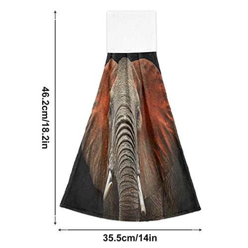 Gougeta Hanging Kitchen Towels Beautiful African Elephant Coral Velvet Tea Hand Tie Towel For Bath Gym Home Decor Set Of 2 #TOP1