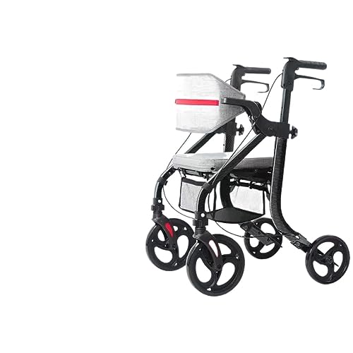 ���s�� ���ʕ��s�� �������\ ���s�⏕�� ��Q�҉����P���p�L�����n�r���� (�J�[�{���t�@�C�o�[�g�����X�t�@�[�i�y�_���t�j)