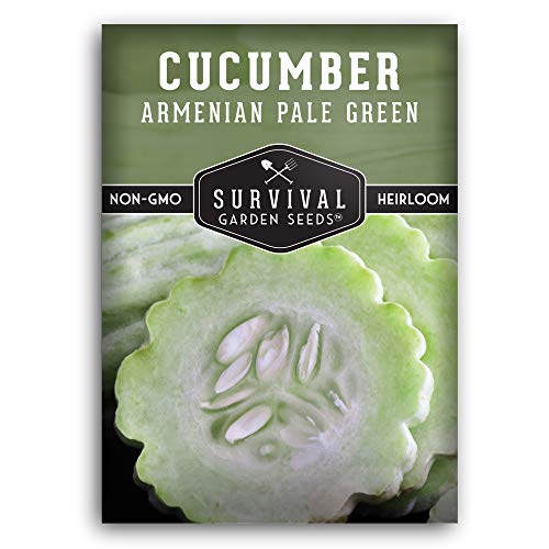 Armenian Pale Green Cucumber Seeds for Planting (1 Pack)