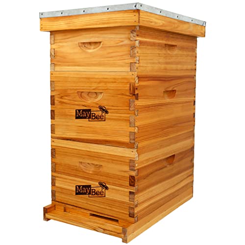 MayBee 8-Frame Langstroth Beehive Dipped in 100% Beeswax Bee Hive for Beginner Honey Bee Hives Includes 2 Deep Bee Boxes 1 Bee Hive Super with Beehive Frames and Foundation (3 Layer)