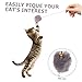 Yardwe 6pcs Interactive Cat Set Indoor Kitten Teaser Suction Cup Spring Funny Cat for Indoor Cats