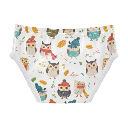 Wusikd Cute Owls Boys' Underwear Cotton Boys Briefs Soft Toddler Underwear 2T2