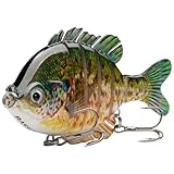 Bassdash