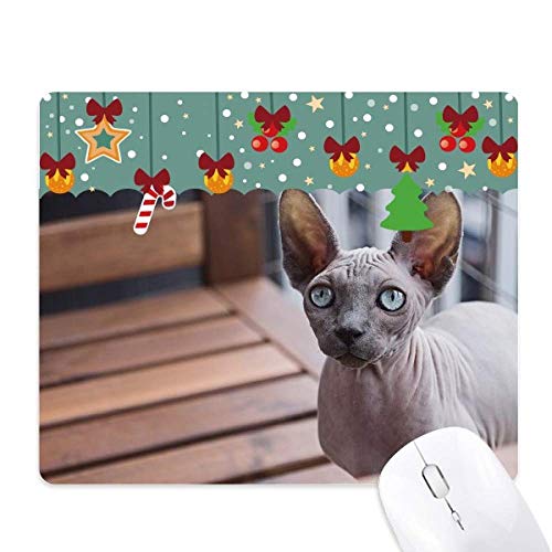 Tapis de souris chat et photographie en caoutchouc antidérapant pour le bureau