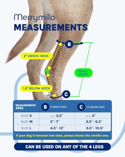 Image of Dog Leg Brace for Rear Hock & Ankle, Canine Hind Leg Joint Compression Wrap for Torn ACL & CCL, Injury and Sprain Protection, Wound Care and Loss of Stability 1 Pair, Size: Small