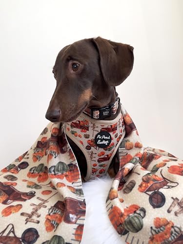 Pumpkin Patch Dog Harness M, Orange, medium - Image 2
