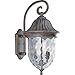 Brown 2-Lt. Wall Lantern with Hammered Glass P5829-87 by Progress Lighting