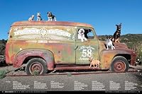 WIne Dogs California 6 1921336749 Book Cover