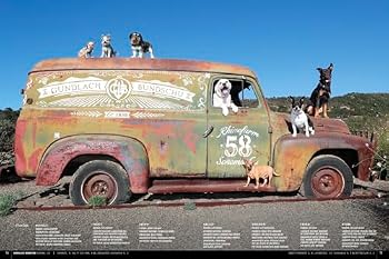 Hardcover WIne Dogs California 6 Book
