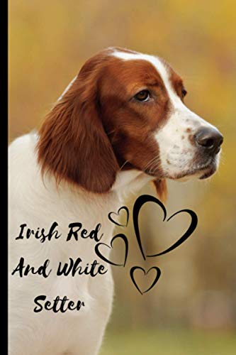 Irish Red And White Setter Dog Notebook For Dog Lovers: Composition Notebook 6x9" Blank Lined Journal