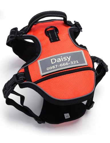 Yonsbox Pettorina per Cani Personalizzata con Nome e Telefono – Imbracatura a Pettorina Riflettente in Tessuto Oxford, Anti-Tiro, con Tasca e Chiusura in Velcro – Comoda e Sicura