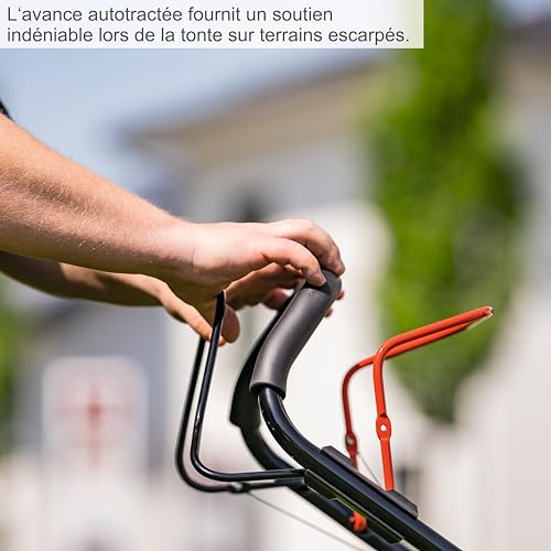 Tondeuse thermique autotractée MS225 53 Scheppach moteur 4T 224 cm3 largeur de coupe 53 cm 25 75 mm 1800 m2 bac - vue 6