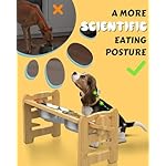 Elevated Dog Bowls, Adjustable Raised Dog Bowls Stand for Small Size Dogs and Cats, Durable Bamboo Dog Feeder with 2 Stainless Steel Bowls and Non-Slip Feet, Dog Food Bowls for Small Dogs Cats - Image 3