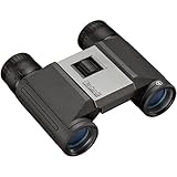 パワービュー2 CE 8x21 PWV821