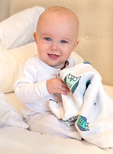 Muslin Swaddle Blanket Baby Blanket (2-Pack) - Organic Cotton Baby Blankets Unisex - Triple Washed For Softness - 48 X 50 Lightweight, Breathable Muslin Blankets W/ Baby Stroller Clips! Owl #TOP5