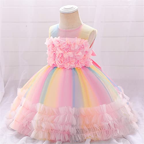 Toddler Kids Girls Sleeveless Party Dresses Photograph Rainbow Flower Mesh Dress Lace Fluffy Tulle Pageant4