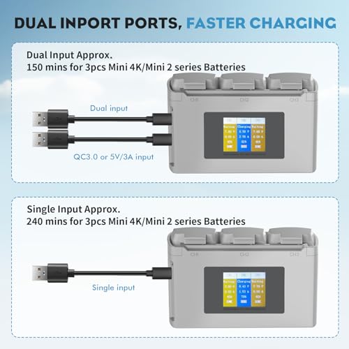 Two Batteries with Charger