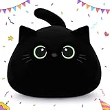 Auspicious beginning