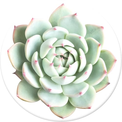 Image of PopSockets Phone Grip with Expanding Kickstand, Plant Pattern PopGrip - You Succulent