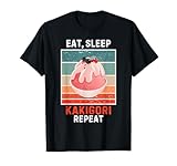 Retro Eat, Sleep Kakigori Repeat Kakigori Lover