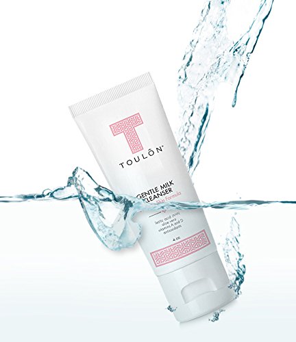 Toulon Gentle Milk Cleanser: Face Wash For Dry & Sensitive Skin; Mild Facial Cleanser With Aha, Lactic Acid, Aloe Vera & Antioxidants For Women #TOP4