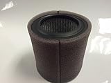 P05051A Champion Replacement Air Filter w/Prefilter