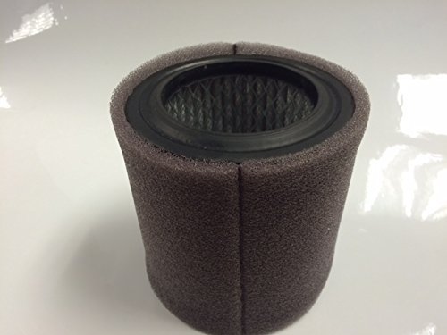 P05051A Champion Replacement Air Filter w/Prefilter