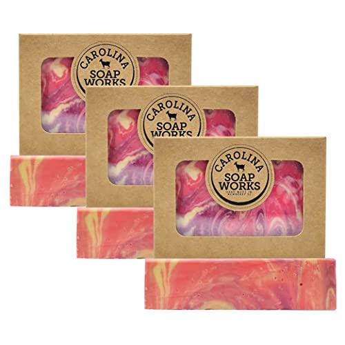 Carolina Soap Works Goat Milk Soap Bar, Blackberry Vanilla Scented, (3 Pack), All-Natural, Handmade Usa, Organic, Cruelty Free, Artisanal Aloe Soap, Made For Psoriasis, Eczema, & Dry Sensitive Skin #TOP19