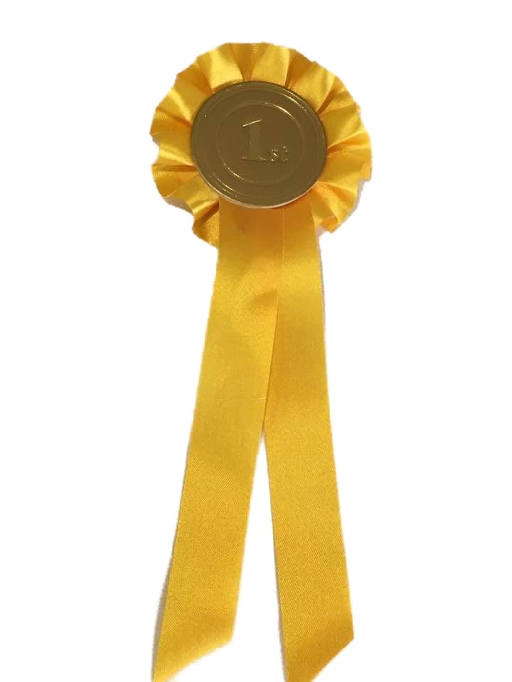 1 tier Rosette ribbon award prize Box pleat prize, fund raising, birthday. 3.5" (8.cm) across, and 9" (22.cm) Custom text optional (Gold)
