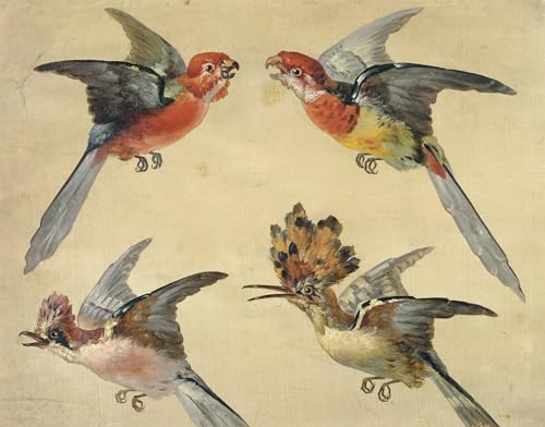 Tableaux sur toile d'oiseaux pour masquer mur vide deco bureau moderne 60x90