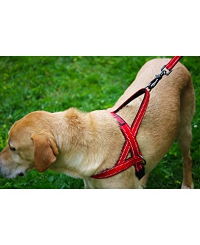 Peitoral Kong - Norwegian Harness - G - Para Cachorros de Grande Porte (Vermelho)