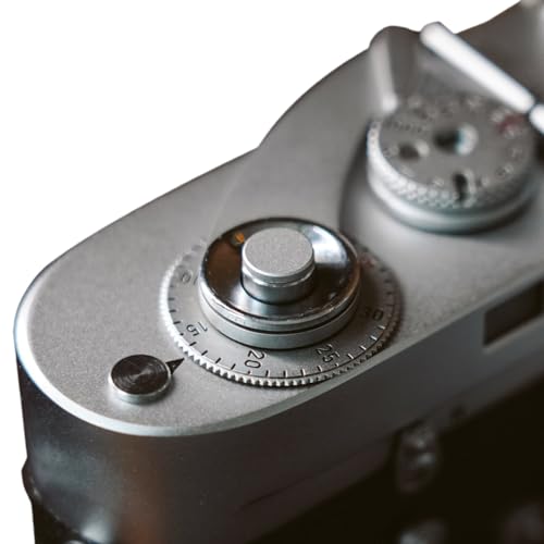 4122IhBCJYL.jpg