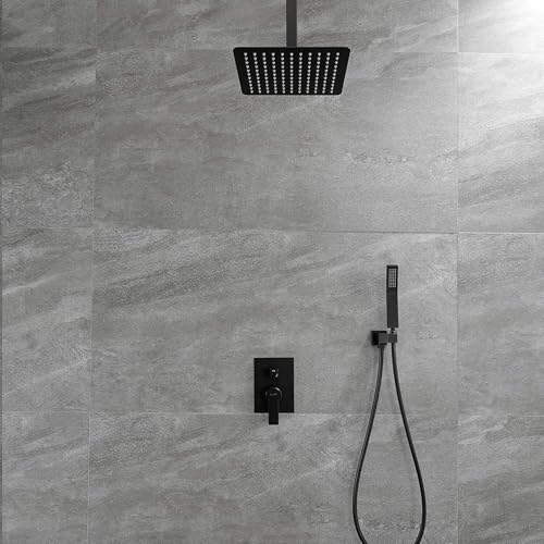 Douche de plafond 12 pouces combinée contre les variations de pression LWX - 4
