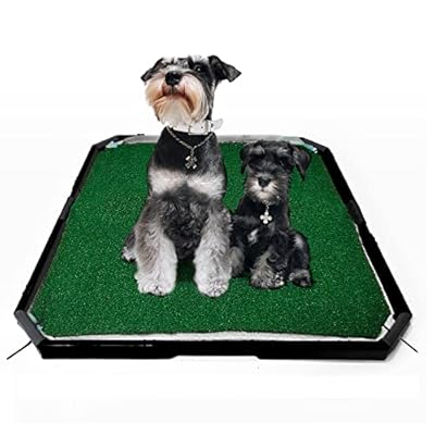 HUILE Dog Toilet with Artificial Grass for Dogs Pee Pads-Artificial Grass Bathroom Mat-Portable Potty Trainer Tray for Indoor and Outdoor Use (21 in x 21 in)