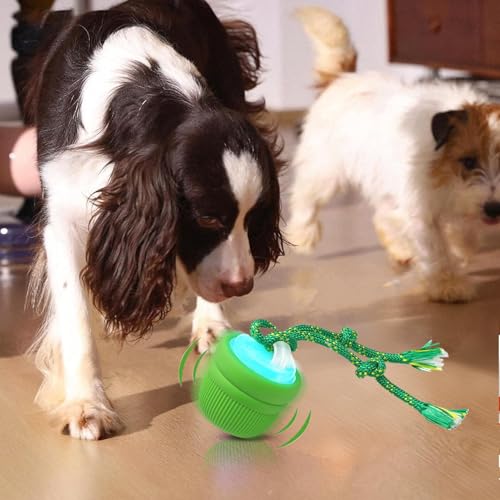 Interaktiver Hundeball- Wasserdichter bissfester Ball mit Seil, bewegliches Spielzeug für Welpen und Hunde, ideal für kleine, mittelgroße und große Rassen, Home Indoor Outdoor Pool Garten Sp-6