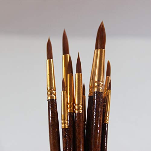 Set de 12 Pinceles de Acuarela de Pelo de Nailon, de Diferentes Formas, con Punta Redonda y Lisa. Ideales para Pintura Gouache.