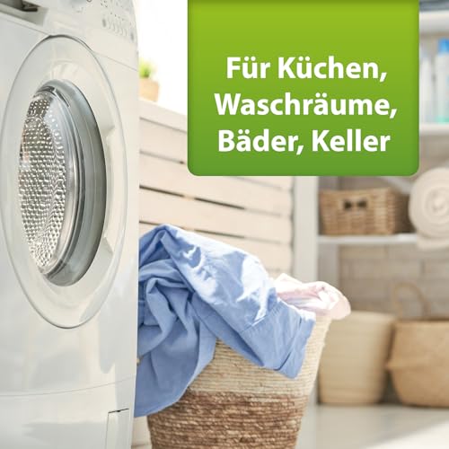 ARDAP Repell Silberfischspray 3 x 400ml - Mittel gegen Silberfische - Silberfischchen - Spray gegen Silberfische - Wirkt schnell & effektiv (PT19)