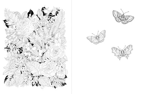 A Walk in the Woods: An Intricate Coloring Book - Image 6