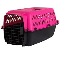 Algopix Similar Product 17 - Petmate Pet Porter Fashion Dog Kennel