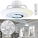 Sichler Haushaltsgeräte Deckenventilator: 2in1-Deckenleuchte & Ventilator mit Fernbedienung, CCT-LEDs, Ø 30 cm (Deckenlampe mit Ventilator)