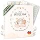 GLÜCKSNEST Mein erstes Jahr Babyalbum mit 138 Stickern | Babybuch zum Eintragen mit kreativen Vorlagen | Erinnerungsbuch Baby für Mädchen & Jungen | Babywunsch Liste | Baby Geschenk Geburt