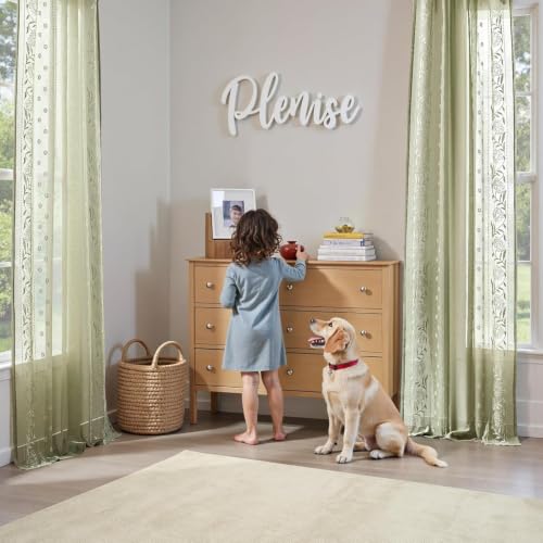 Image of jinchan Winslow Sheer Curtains 96 Inch for Bedroom Living Room Embroidered Bordered Floral Nursery Curtains for Boy's Room Light Filtering Window Treatments, Ivory on Sage, 2 Panels, 50 inch x 96 inch